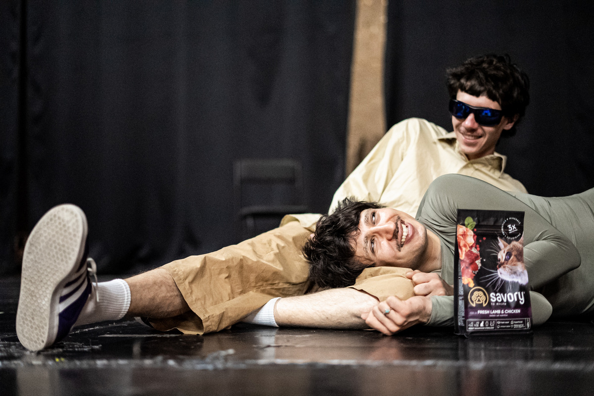 Сумні хлопці стають котами: нова вистава Дикого театру та Suziria Group