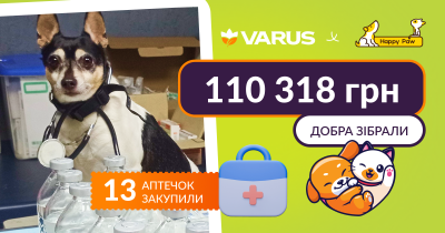 Маленька гривня — велике диво: Varus і Happy Paw допомогли 3766 тваринам у притулках