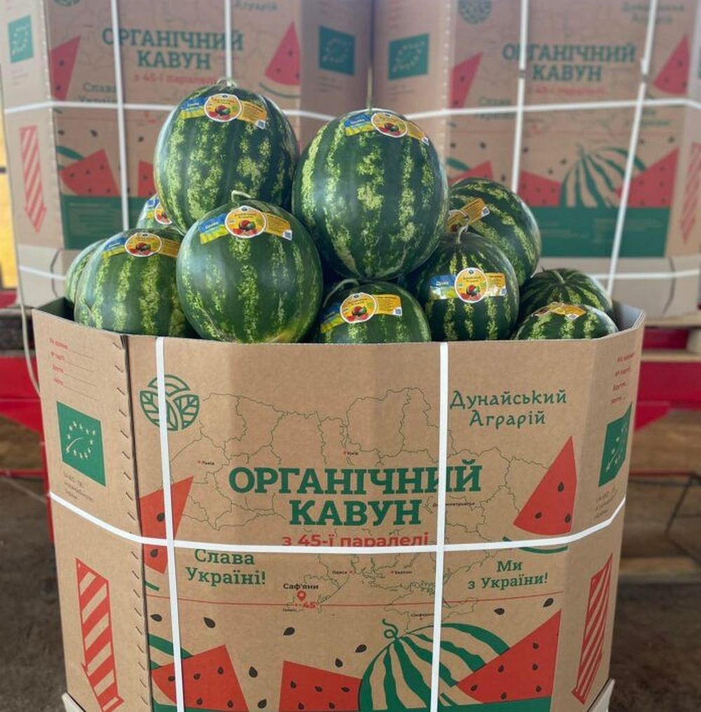 Технологія, перевірена часом: як октабіни від Київського КПК стали стандартом якості для кавунів та динь