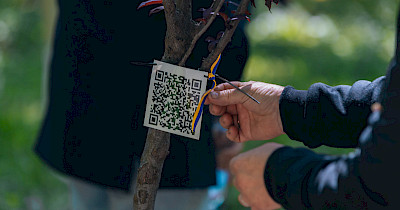 Eva створила у Дніпрі Алею пам’яті на честь загиблих співробітників