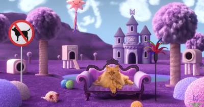 Ролики тижня: Maudau, MasterZoo, Суспільне Новини, Cher’17, ДТЕК та Даша Астаф’єва