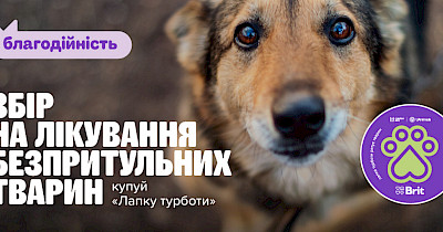 MasterZoo та UAnimals закликають простягнути «лапку» допомоги покинутим тваринам у прифронтових містах