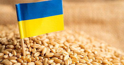 Сучасний стан експорту зернових з України: ключові ринки та виклики 2025 року