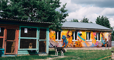 На Київщині відбудували зруйноване російськими обстрілами стаціонарне приміщення притулку для тварин та побудували ветеринарний комплекс