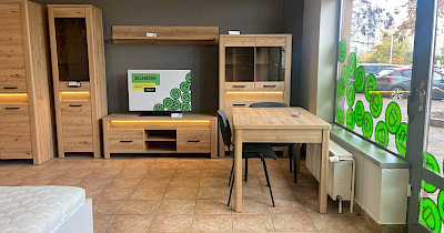 Меблевий рітейлер Дубок масштабується в Європі (+фото)