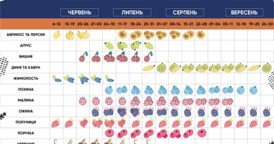 В Сільпо начинается фруктово-ягодный сезон: вот-вот будет много черешни