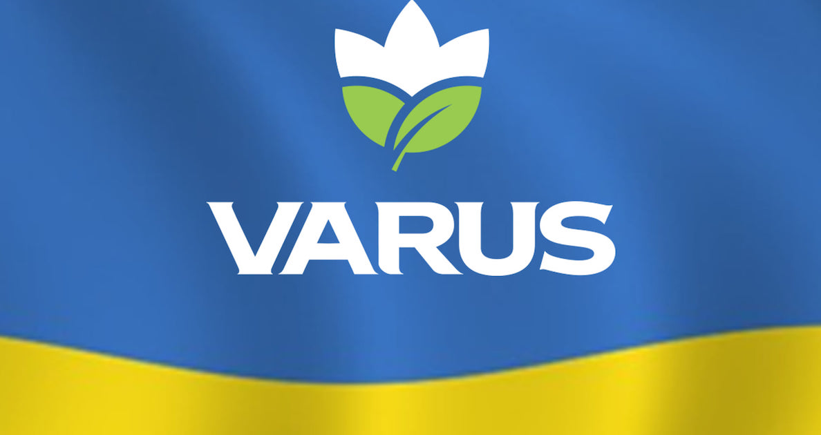 Підсумки одинадцятого дня війни та роботи Гуманітарного штабу Varus