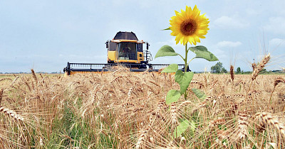 Деньги под урожай: Эпицентр взял кредит в $120 млн на развитие аграрного направления