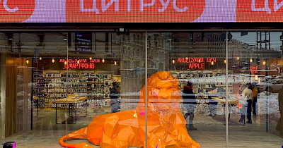 Цитрус открыл в центре Киева обновленный магазин, символом которого стал лев (+фотообзор)