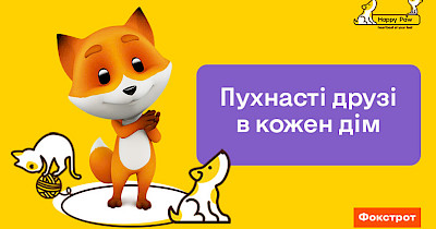 Фокстрот совместно с фондом Happy Paw запустили проект по адопции животных из приютов