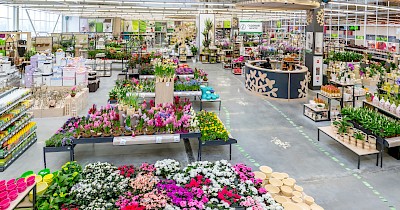 Від кількох полиць до 80 000 SKU: як Епіцентр розвиває напрямок Garden-центр