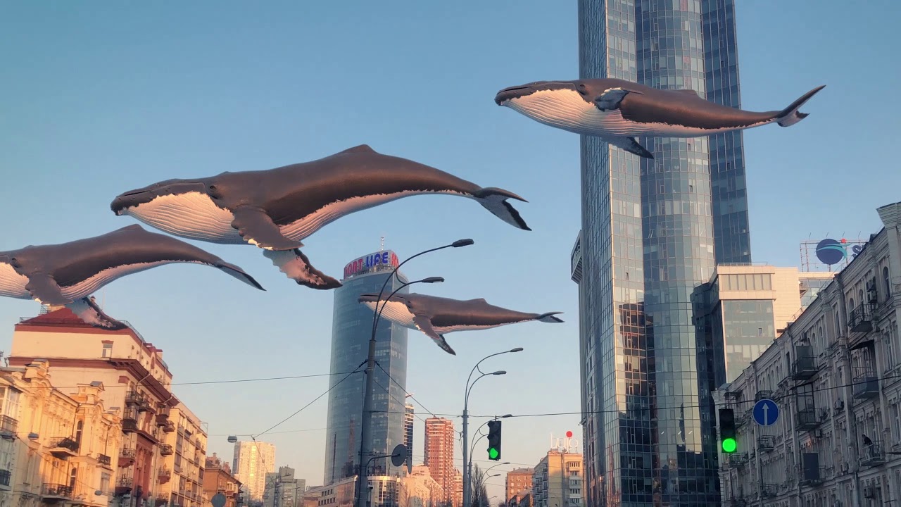 Реклама тижня: Нова пошта, Київстар, Volkswagen, ЛГБТ і кити в Києві