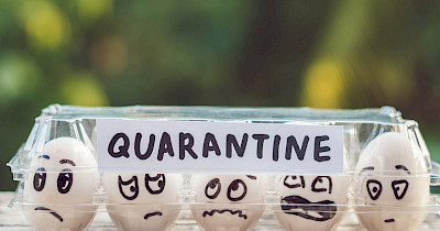 Nielsen: як пандемія вірусу COVID-19 вплинула на зміни у споживчих настроях