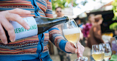 Справа зі смаком яблук: як киянин почав виробляти сидр і продавати його в Сільпо