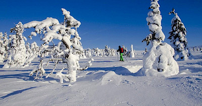 Зимовий відпочинок у Фінляндії: чому краще готуватися з літа