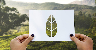 Екологічна революція в рітейлі: Україна «за» або «проти»?