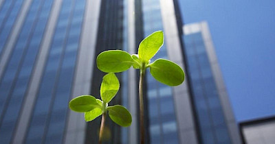 Eco cleaning. The development of green cleaning in Ukraine from SHEN Facility Management