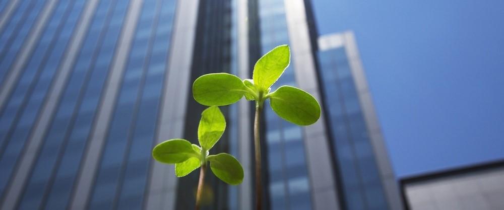 Eco cleaning. The development of green cleaning in Ukraine from SHEN Facility Management