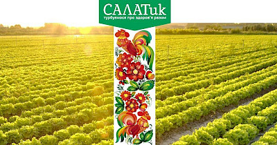 New Retail: Від поставок оптом до власної мережі – історія бренду Salatik Life