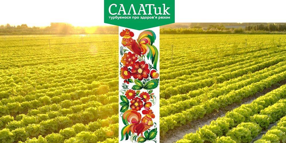 New Retail: Від поставок оптом до власної мережі – історія бренду Salatik Life