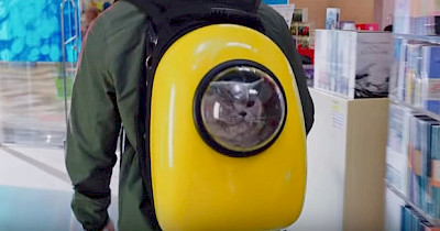 Реклама тижня: COMFY, Alchemica, Prom.ua і пасхалки Приватбанку