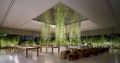 Бамбуковий ліс і hi-tech: як виглядає самий зелений у світі Apple Store (фотоогляд)