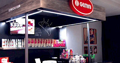 Ирина Тяжкороб, Gemini: Успех бизнеса без риска невозможен