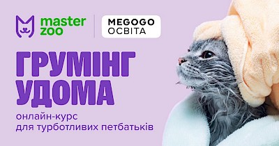 Мережа MasterZoo випустила онлайн-курс про домашній грумінг