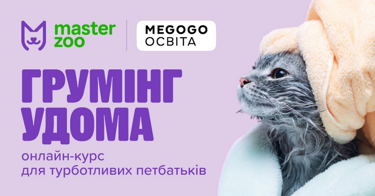 Мережа MasterZoo випустила онлайн-курс про домашній грумінг