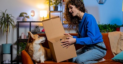 Кожна четверта покупка — імпульсивна: що купували та скільки витратили українці під час Чорної п’ятниці