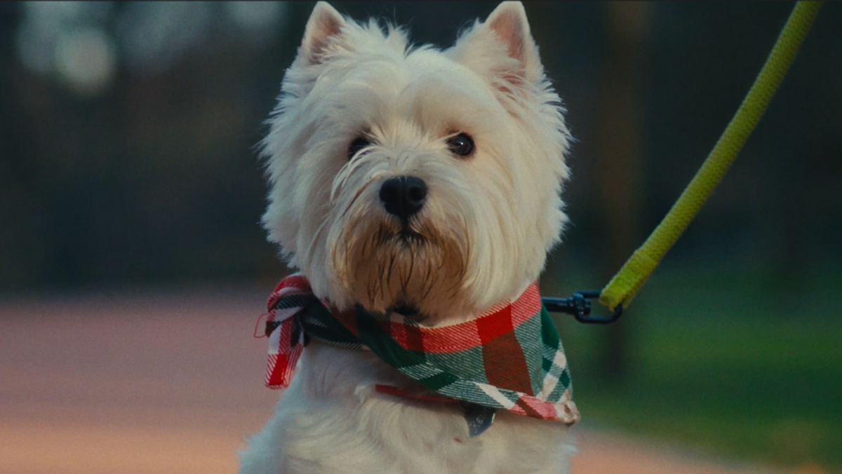 Ролики тижня: Maudau, Vovk, Optimeal, Азов.one, Епіцентр