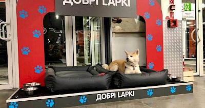 Епіцентр обладнав постійні зони для відпочинку тварин