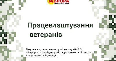 Дистанційна робота для маломобільних ветеранів: гнучкий формат із фокусом на підтримку та розвиток