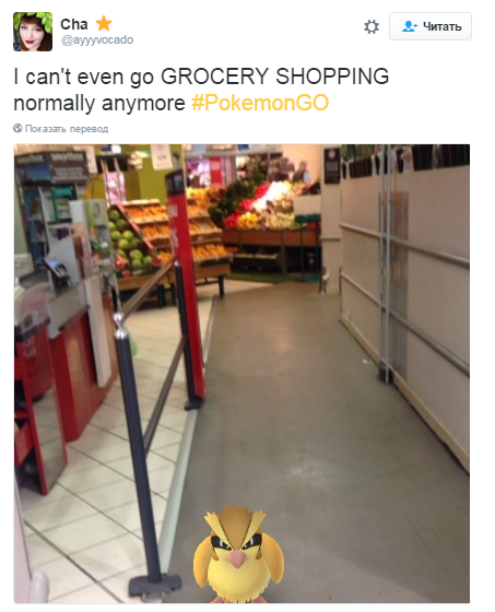 Cha ⭐️ в Твиттере_ «I can't even go GROCERY SHOPPING normally anymore #PokemonGO https___t.co_044tZcfrrC» - Google Chrome 2016-07-14 12.49.22