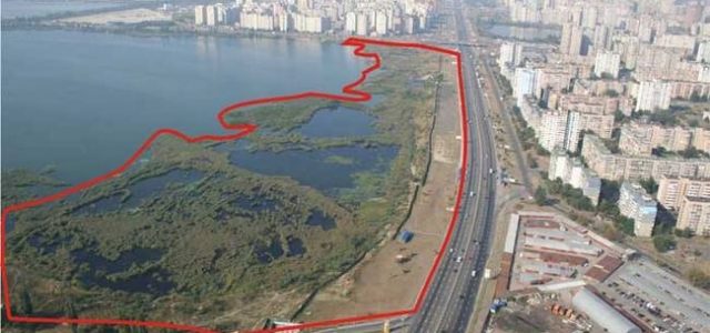 Вагиф Алиев может стать инвестором ТРЦ Вырлица