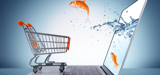 Обзор рынка e-commerce Украины в 2015 году (+инфографика)