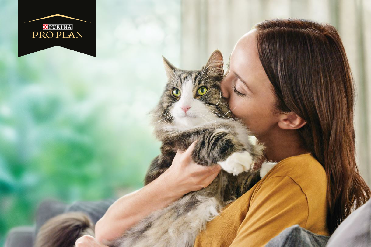 Nestlé Purina® представляє Pro Plan® LiveClear®, перший у світі корм, що зменшує рівень алергенів у котів