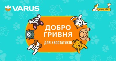 У Varus стартує щорічна акція допомоги безпритульним тваринам