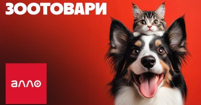 Зоотовари на маркетплейсі Алло: продажі кормів для собак та котів за півроку зросли у 10 разів