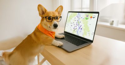 ЛУН та MasterZoo створили інтерактивну мапу майданчиків для прогулянок з чотирилапими у Києві