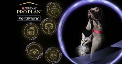 Фортіфлора для собак: підтримка здоров’я шлунка та імунітету
