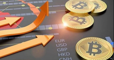 Что показывает крипто график и как его читать: от основ до капитализации лидеров рынка
